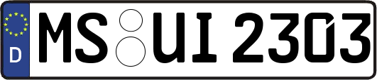 MS-UI2303