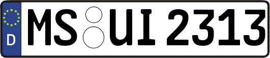 MS-UI2313