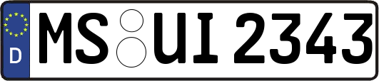 MS-UI2343