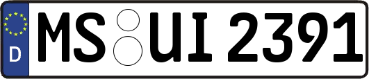 MS-UI2391