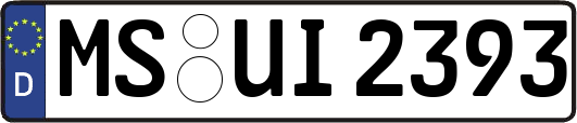 MS-UI2393