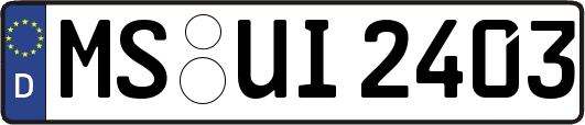 MS-UI2403