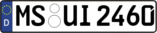 MS-UI2460