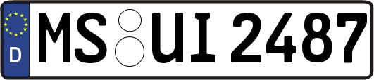 MS-UI2487