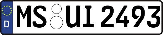 MS-UI2493