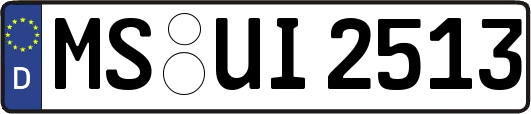 MS-UI2513