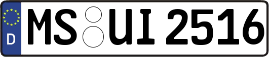 MS-UI2516