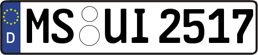 MS-UI2517
