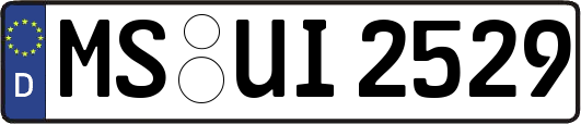 MS-UI2529