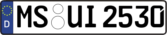 MS-UI2530