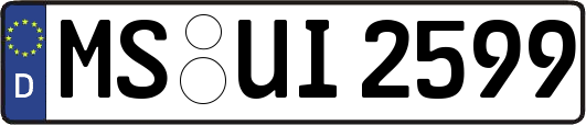 MS-UI2599
