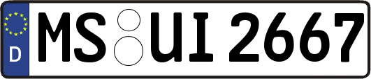 MS-UI2667