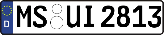 MS-UI2813