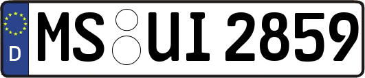 MS-UI2859