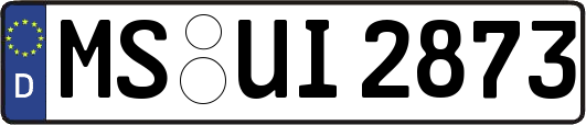 MS-UI2873