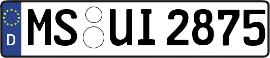 MS-UI2875
