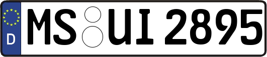 MS-UI2895