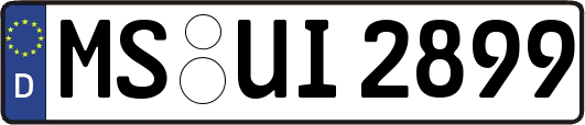 MS-UI2899