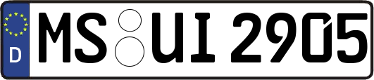 MS-UI2905