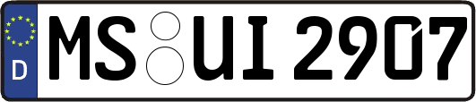 MS-UI2907