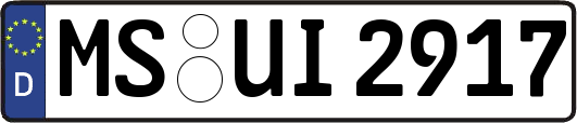 MS-UI2917