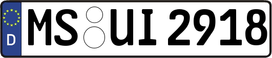 MS-UI2918