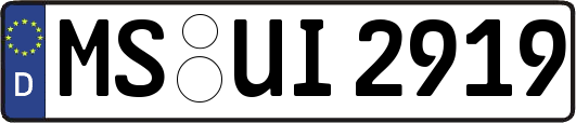 MS-UI2919