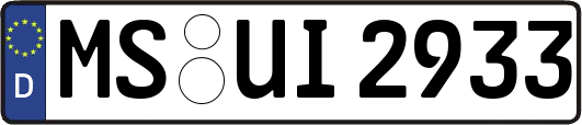 MS-UI2933