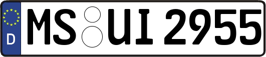 MS-UI2955