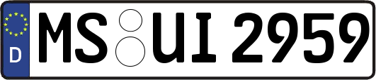 MS-UI2959