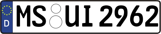 MS-UI2962