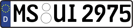 MS-UI2975