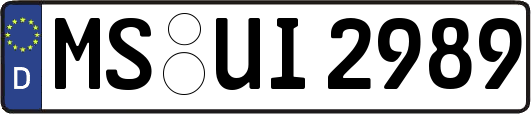 MS-UI2989