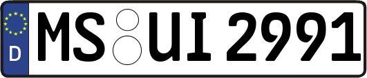 MS-UI2991