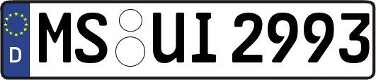 MS-UI2993