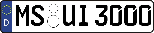 MS-UI3000