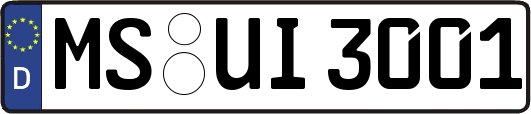 MS-UI3001