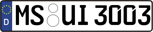 MS-UI3003