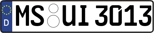 MS-UI3013