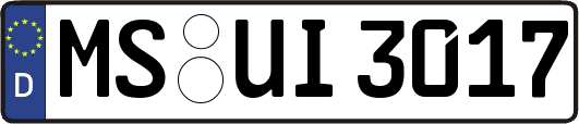 MS-UI3017
