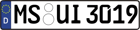 MS-UI3019