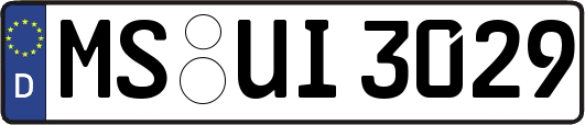 MS-UI3029