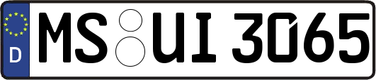 MS-UI3065