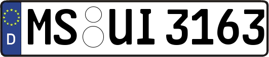 MS-UI3163