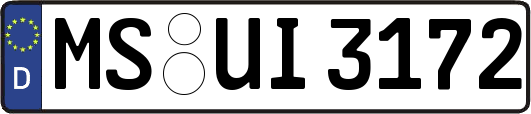 MS-UI3172