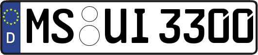 MS-UI3300