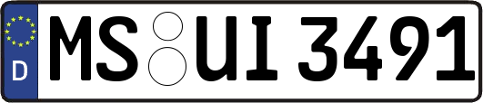 MS-UI3491