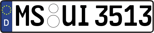 MS-UI3513