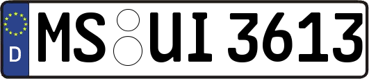 MS-UI3613