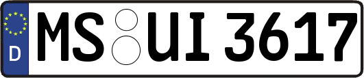 MS-UI3617